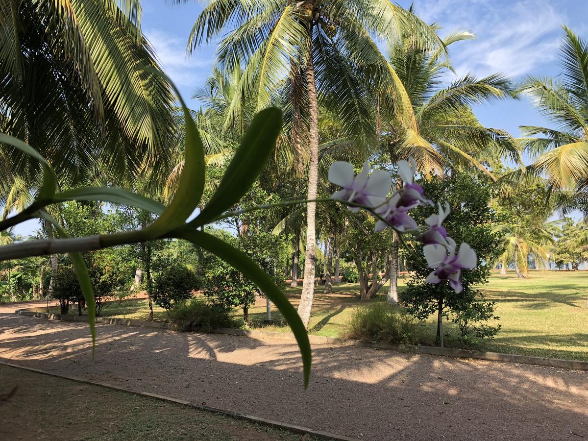 Hotel Lagoon Paradise Negombo Eksteriør billede