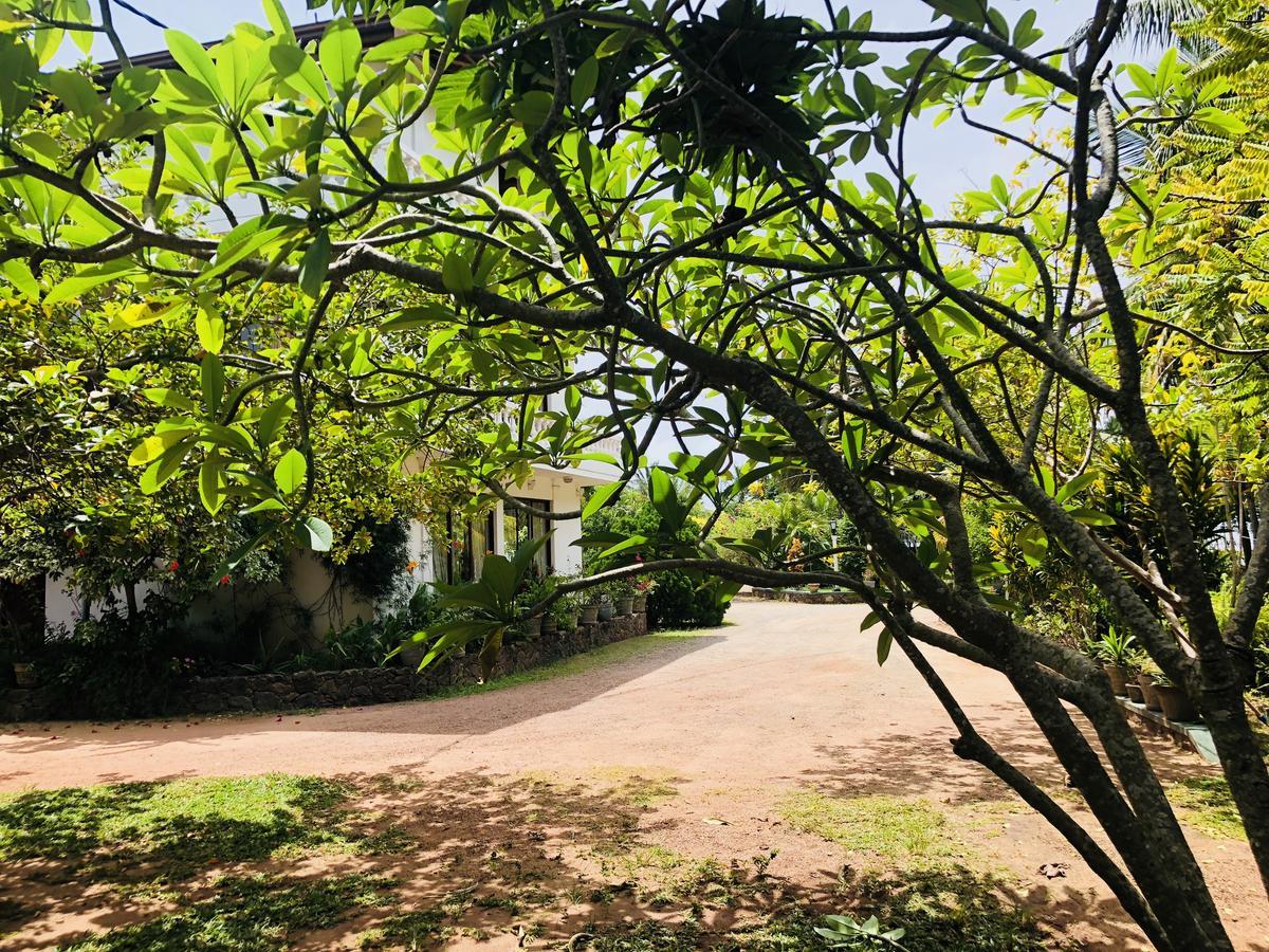 Hotel Lagoon Paradise Negombo Eksteriør billede